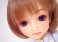�V�X�^�[B�q