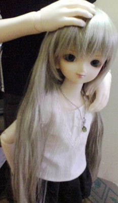 ファイル 15-1.jpg
