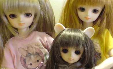 ファイル 17-3.jpg