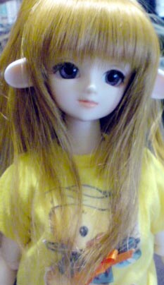 ファイル 18-1.jpg