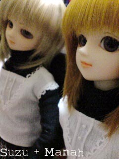 ファイル 19-1.jpg