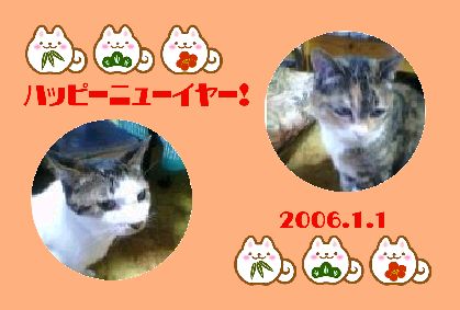 ファイル 1-1.jpg