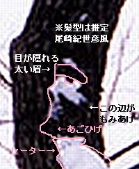 人面図説