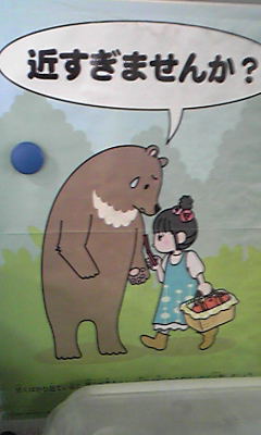 ※困惑の熊