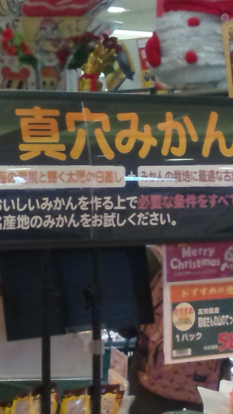 ※真穴みかん